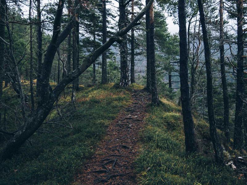 Imagen de la brigada: Taller de Alfabetización Digital