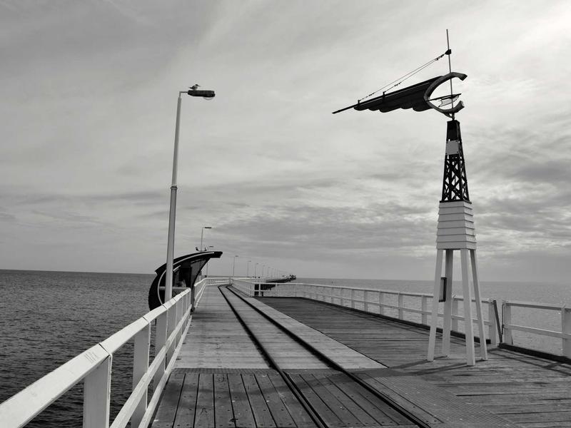 Imagen de la brigada: Brigada Geriátrica Integral