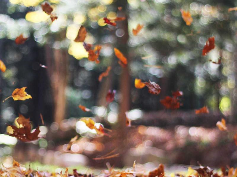 Imagen de la brigada: Taller de Agua Segura y Saneamiento
